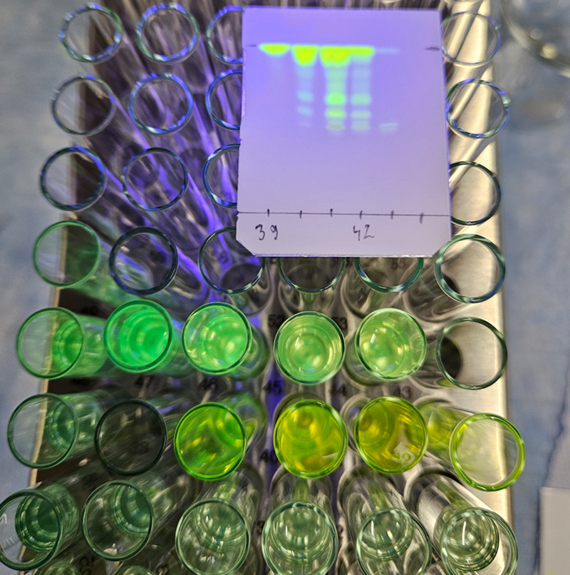 Drug Discovery & Medicinal Chemistry