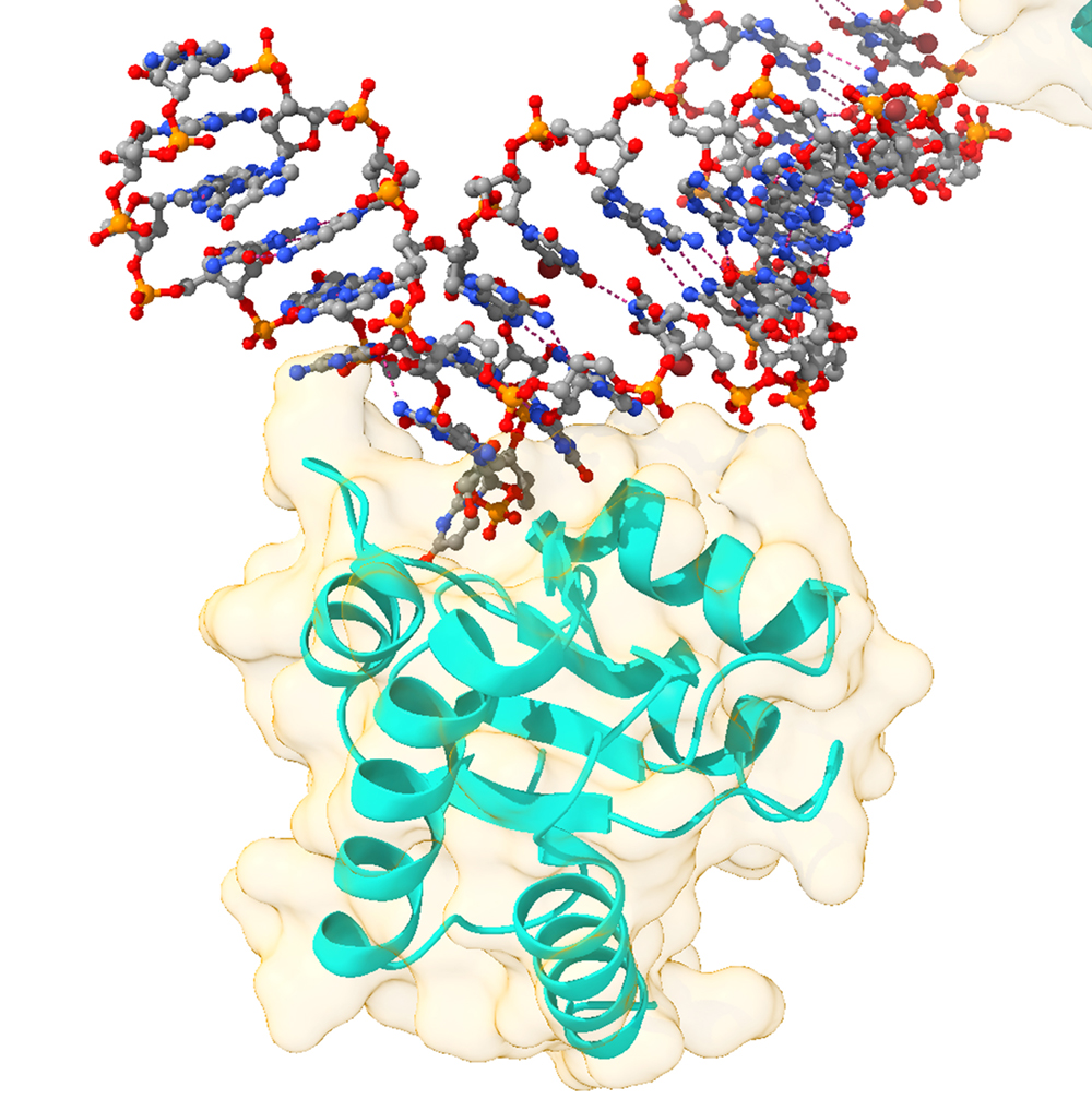 Biophysical & Computational Chemistry
