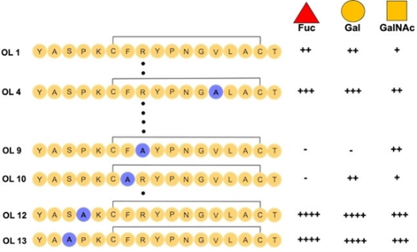 EUROPEAN JOURNAL OF ORGANIC CHEMISTRY