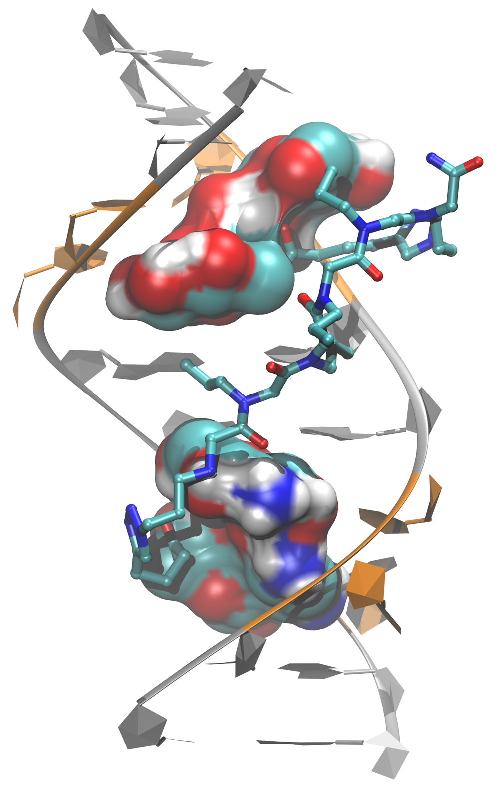 rna dynamics lab 2k 4 binding