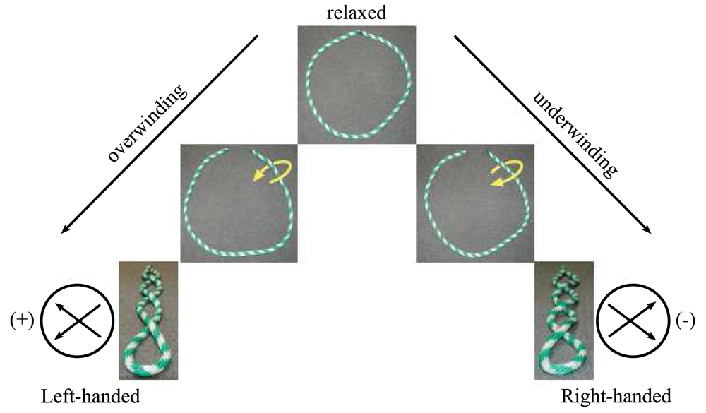 RNA Dynamics Lab - Superhelix DNA